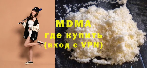 шишки Ельня