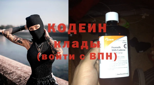 шишки Ельня