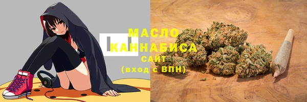 шишки Ельня