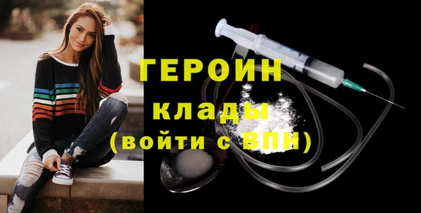шишки Ельня