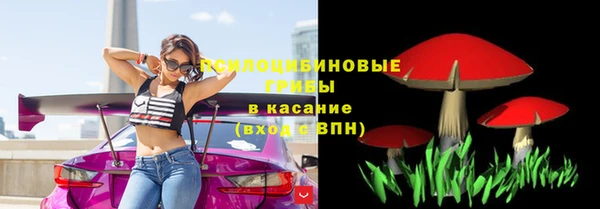 дурь Елабуга