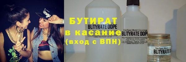 шишки Ельня