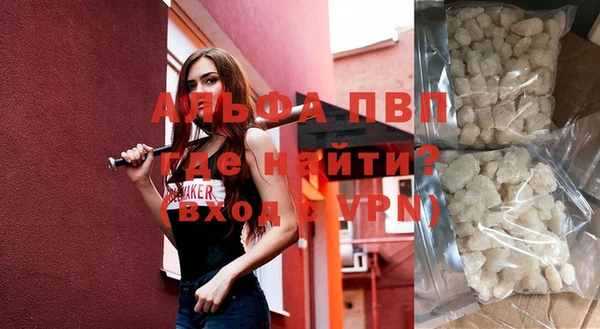 шишки Ельня