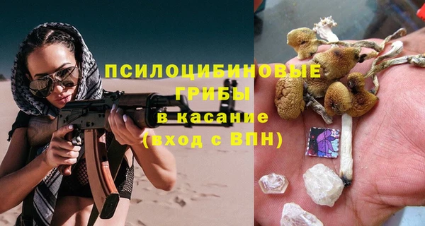 дурь Елабуга