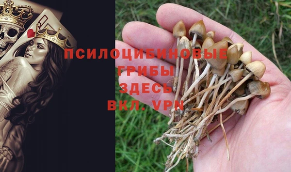 шишки Ельня