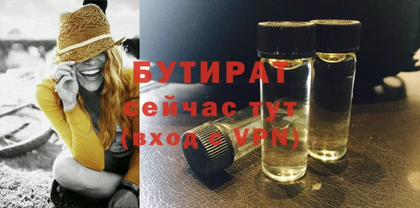 шишки Ельня
