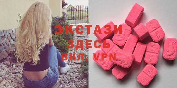 шишки Ельня