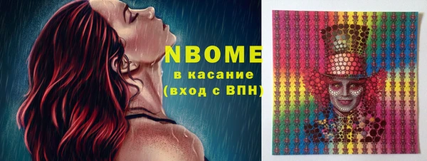шишки Ельня