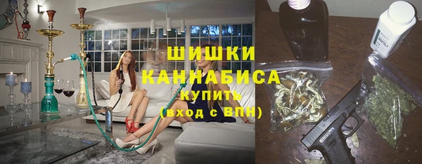 шишки Ельня