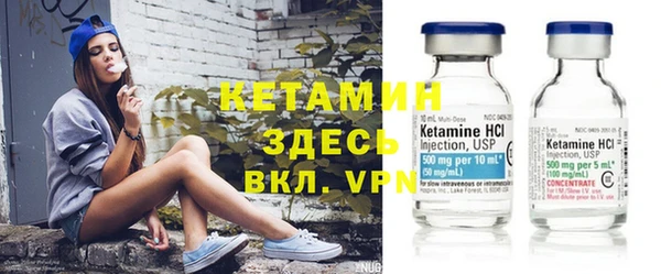шишки Ельня