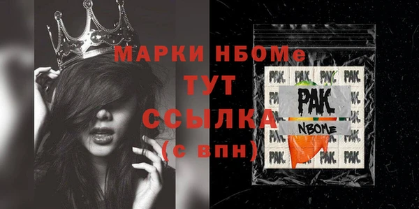 шишки Ельня