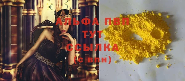шишки Ельня