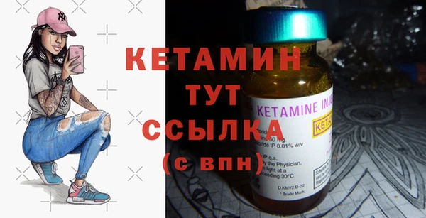 шишки Ельня